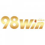 98winvideo