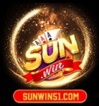 sunwin51com