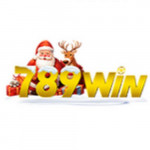 789WIN | LINK 789 WIN CHÍNH THỨC 2024