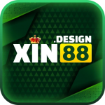 xin88design