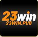 23winpub