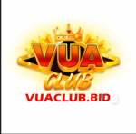 vuaclubbid