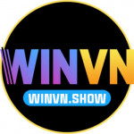 winvnshow