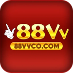 88VVco com