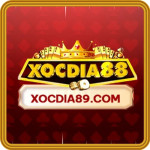 Xocdia88