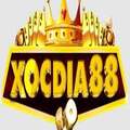 xocdia88cocom