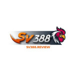 sv388review