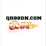 qh88dnbet