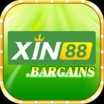 xin88bargains