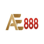 AE888capitalplanning