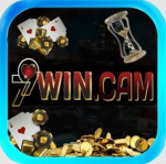 79wincam