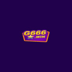g6666net