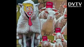 Deaf MAGA Sheep | Q89 | DeafVIDEO.TV - ASL Videos & Vlogs