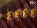 HOW MAKE CIGARS?