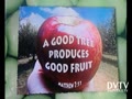 Good Fruit Scriptures