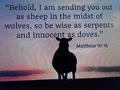 Why Jesus Leaves the 99 Sheep to Find You?