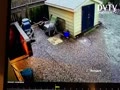 House security caught of skunk in video!