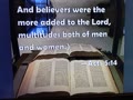 ****Believers and Multitudes****