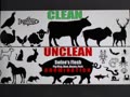 Worlds UNCLEAN Foods!