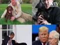 Trump loves dog or ?