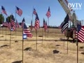 Field of Flags