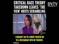 CRITICAL RACE THEORY