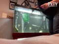 Put shark into aggressive tank!