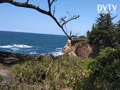 Cape Arago State Park