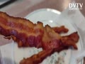 Bacon CHAMP!
