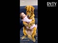 Wow Dog really care so cute baby !!