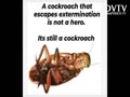 Trump is a cockroach