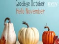 Goodbye October...Hello November