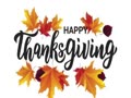 Happy Thanksgiving DVTV 2024