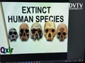 Extinct human species