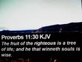 Proverbs 11:30